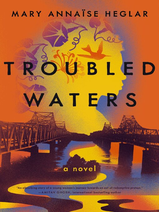 Cover image for Troubled Waters